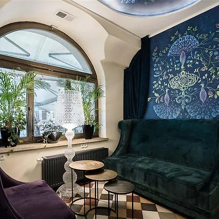 에스터 크라쿠프